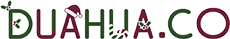 Dualhua.co